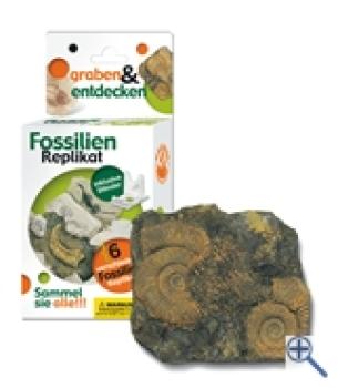 Grabungs-Set klein mit Replikat Ammonit
