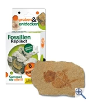 Grabungs-Set klein mit Replikat Fisch