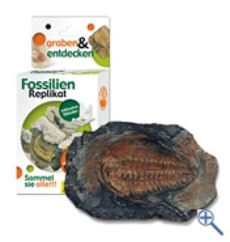 Grabungs-Set klein mit Replikat Trilobit