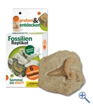 Grabungs-Set klein mit Replikat Haifisch-Zahn