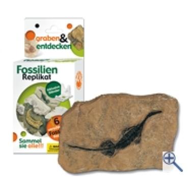 Grabungs-Set klein mit Replikat Reptil